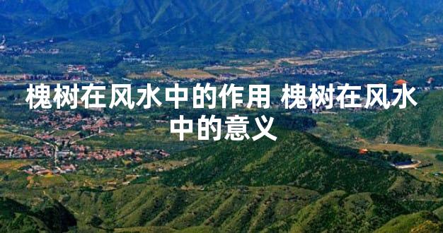 槐树在风水中的作用 槐树在风水中的意义